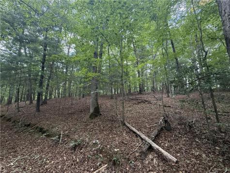 0 Yahoola Indian Trail Dahlonega GA 30533