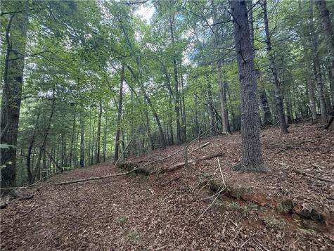0 Yahoola Indian Trail Dahlonega GA 30533