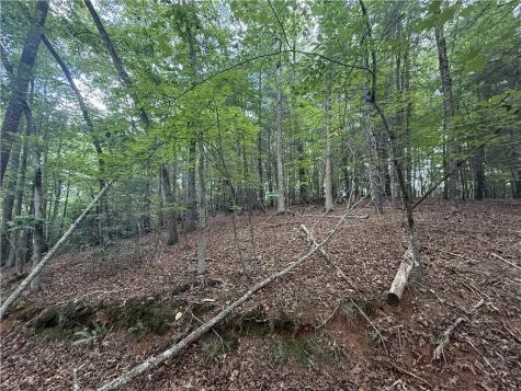 0 Yahoola Indian Trail Dahlonega GA 30533