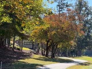 Lt 144 Hickory Way Mineral Bluff GA 30559