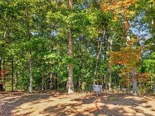 Lt 144 Hickory Way Mineral Bluff GA 30559