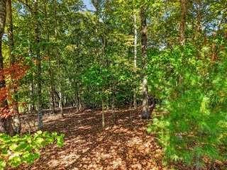 Lt 144 Hickory Way Mineral Bluff GA 30559