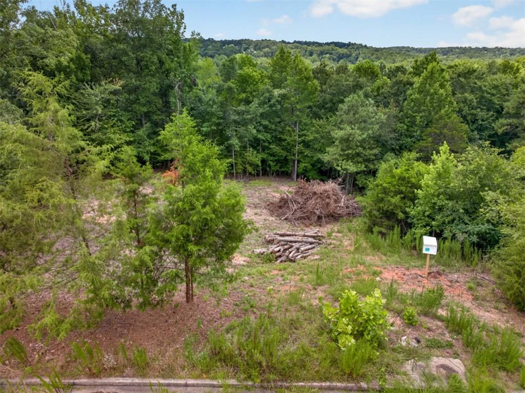 4024 Paulette Drive Monroe GA 30656