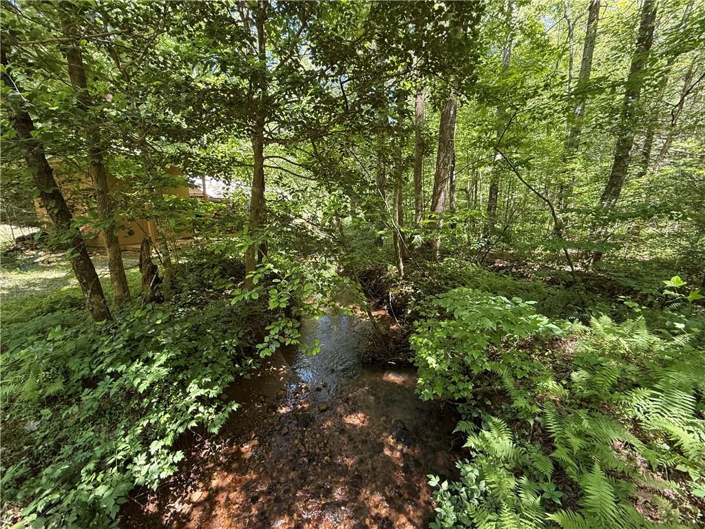 1199 Mountain Cove Road Dahlonega GA 30533