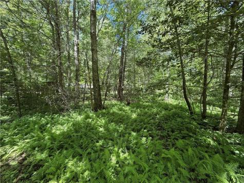 1199 Mountain Cove Road Dahlonega GA 30533