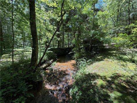 1199 Mountain Cove Road Dahlonega GA 30533