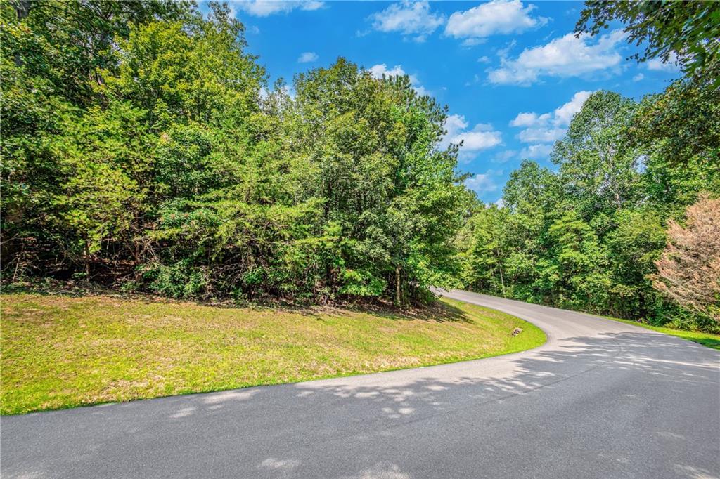 LT104 Mountain Creek Hollow Drive Talking Rock GA 30175
