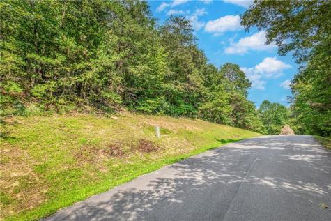 LT104 Mountain Creek Hollow Drive Talking Rock GA 30175