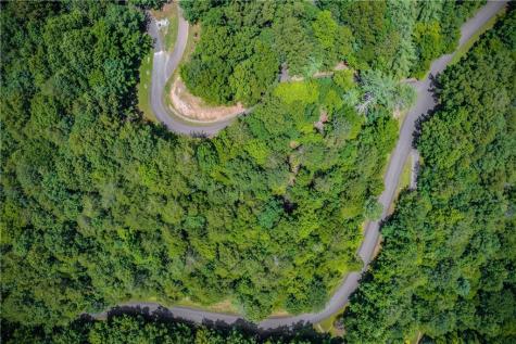 LT104 Mountain Creek Hollow Drive Talking Rock GA 30175