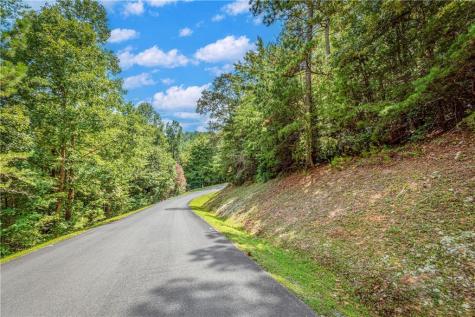 LT104 Mountain Creek Hollow Drive Talking Rock GA 30175