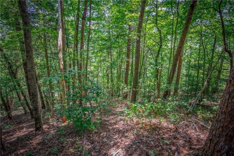 LT104 Mountain Creek Hollow Drive Talking Rock GA 30175