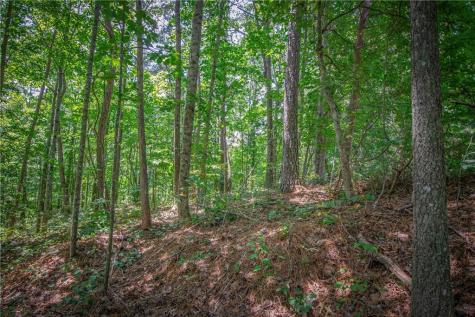 LT104 Mountain Creek Hollow Drive Talking Rock GA 30175