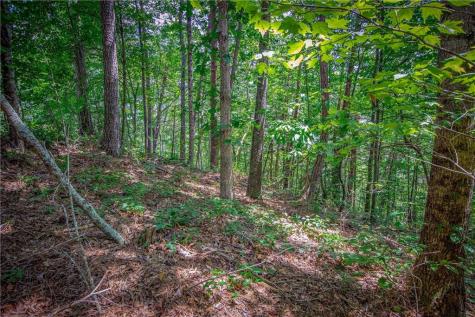 LT104 Mountain Creek Hollow Drive Talking Rock GA 30175