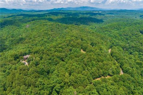 LT104 Mountain Creek Hollow Drive Talking Rock GA 30175