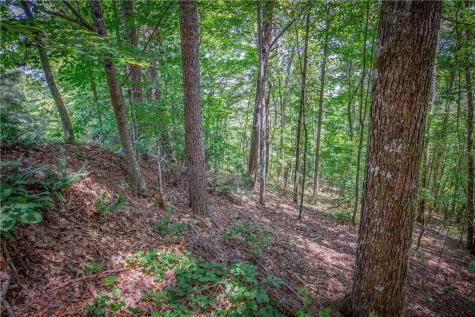 LT104 Mountain Creek Hollow Drive Talking Rock GA 30175