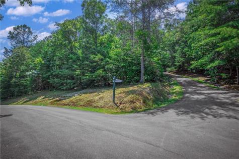 LT104 Mountain Creek Hollow Drive Talking Rock GA 30175