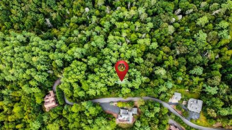 Lot 9 Laurel Creek Trail Blue Ridge GA 30513