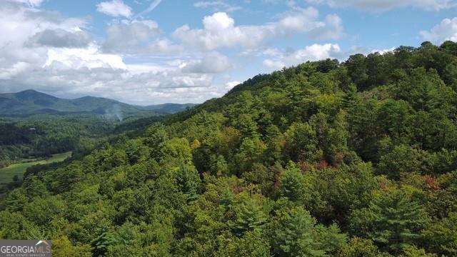 6 Sequoia Hills Lane Clayton GA 30525
