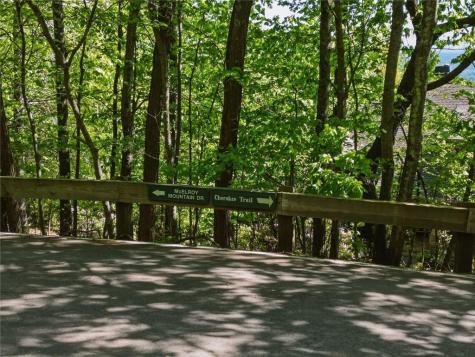 1095 Mcelroy Mountain Drive Big Canoe GA 30143