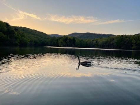1095 Mcelroy Mountain Drive Big Canoe GA 30143