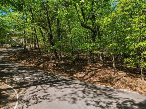 1095 Mcelroy Mountain Drive Big Canoe GA 30143