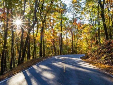 1095 Mcelroy Mountain Drive Big Canoe GA 30143