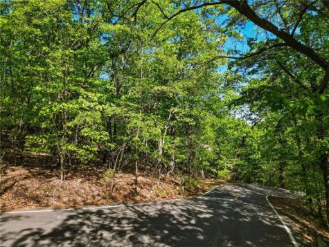 1095 Mcelroy Mountain Drive Big Canoe GA 30143