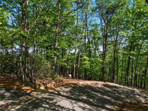 1095 Mcelroy Mountain Drive Big Canoe GA 30143