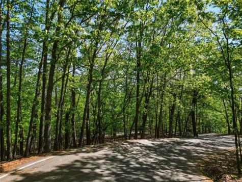 1095 Mcelroy Mountain Drive Big Canoe GA 30143