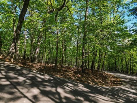 1095 Mcelroy Mountain Drive Big Canoe GA 30143