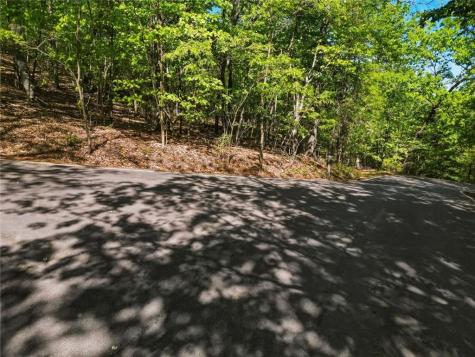 1095 Mcelroy Mountain Drive Big Canoe GA 30143