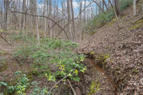 41A&42 Madeline Anthony Road Dahlonega GA 30533