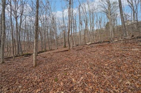 41A&42 Madeline Anthony Road Dahlonega GA 30533