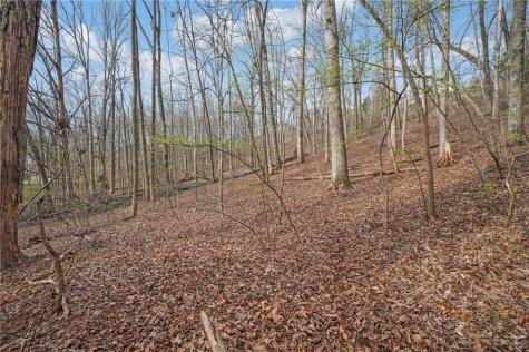 41A&42 Madeline Anthony Road Dahlonega GA 30533