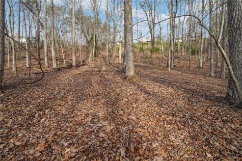 41A&42 Madeline Anthony Road Dahlonega GA 30533