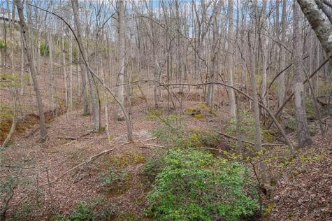41A&42 Madeline Anthony Road Dahlonega GA 30533