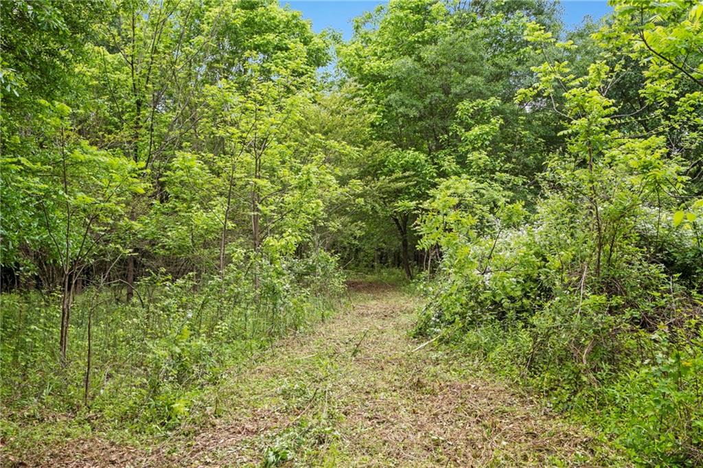 0 Mountain Road Alpharetta GA 30004