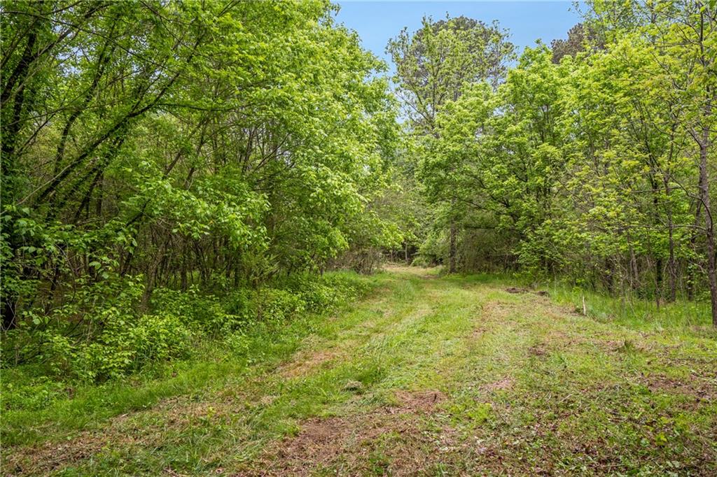 0 Mountain Road Alpharetta GA 30004