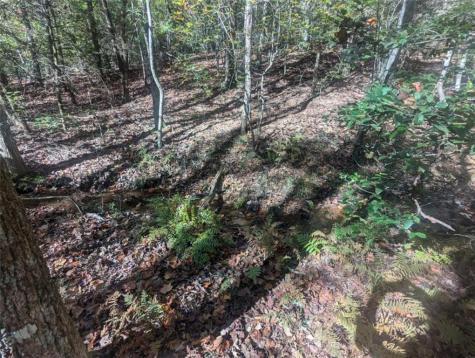 26.89 Shadow Lane Blue Ridge GA 30513