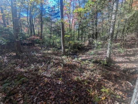 26.89 Shadow Lane Blue Ridge GA 30513