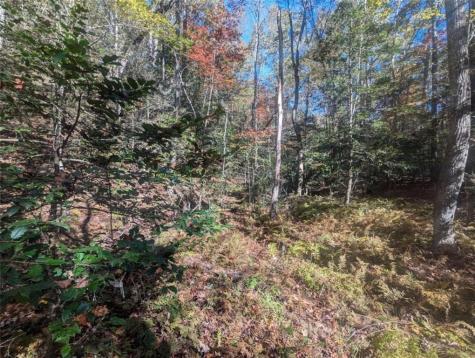 26.89 Shadow Lane Blue Ridge GA 30513