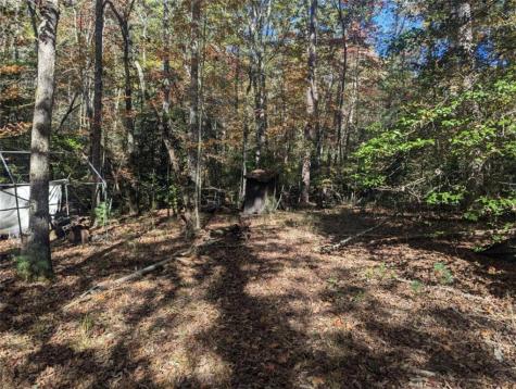 26.89 Shadow Lane Blue Ridge GA 30513