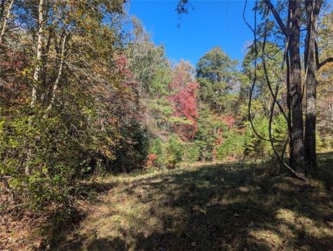 26.89 Shadow Lane Blue Ridge GA 30513