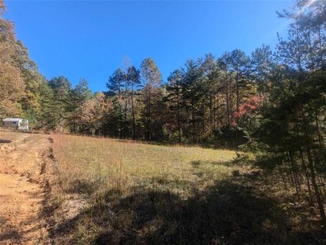 26.89 Shadow Lane Blue Ridge GA 30513