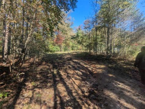 26.89 Shadow Lane Blue Ridge GA 30513