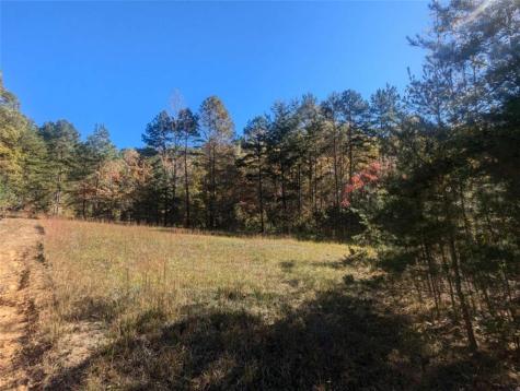 26.89 Shadow Lane Blue Ridge GA 30513