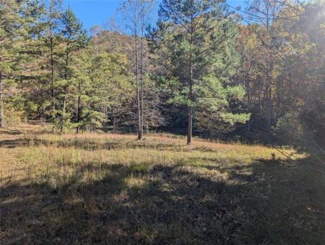 26.89 Shadow Lane Blue Ridge GA 30513
