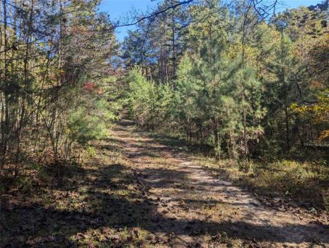 26.89 Shadow Lane Blue Ridge GA 30513