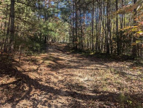 26.89 Shadow Lane Blue Ridge GA 30513