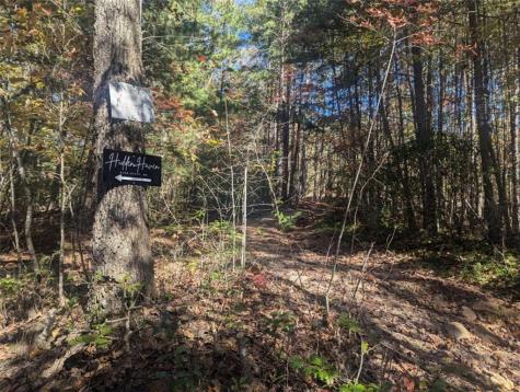 26.89 Shadow Lane Blue Ridge GA 30513
